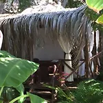 Cocos Camp