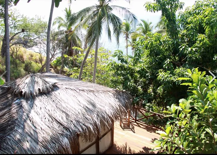 Cocos Camp