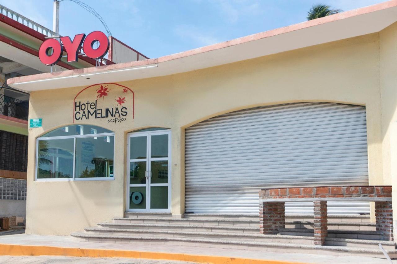 Oyo Camelinas 2*