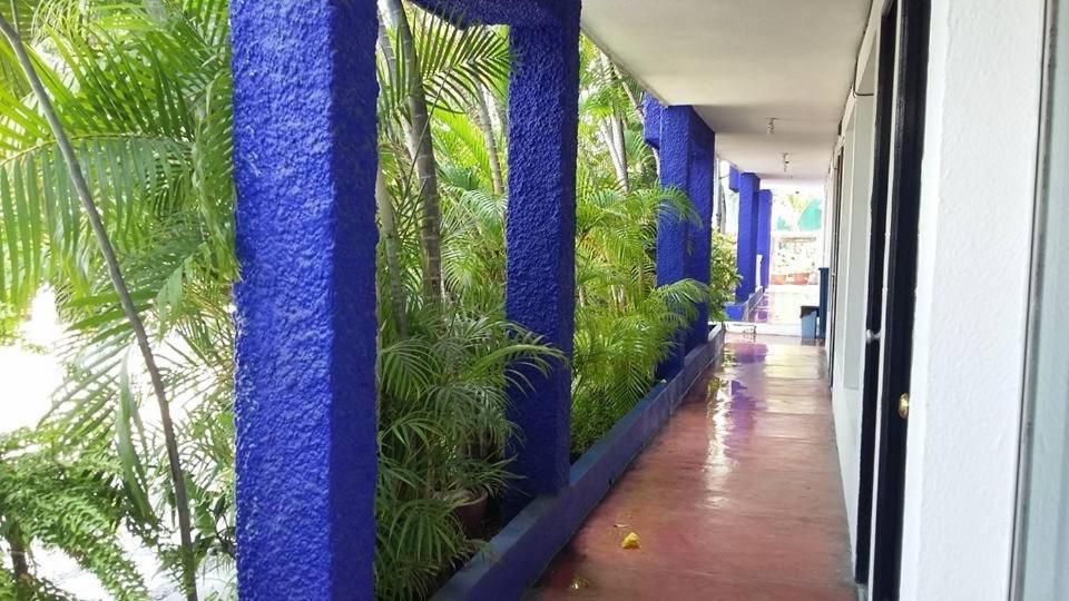 Navegante