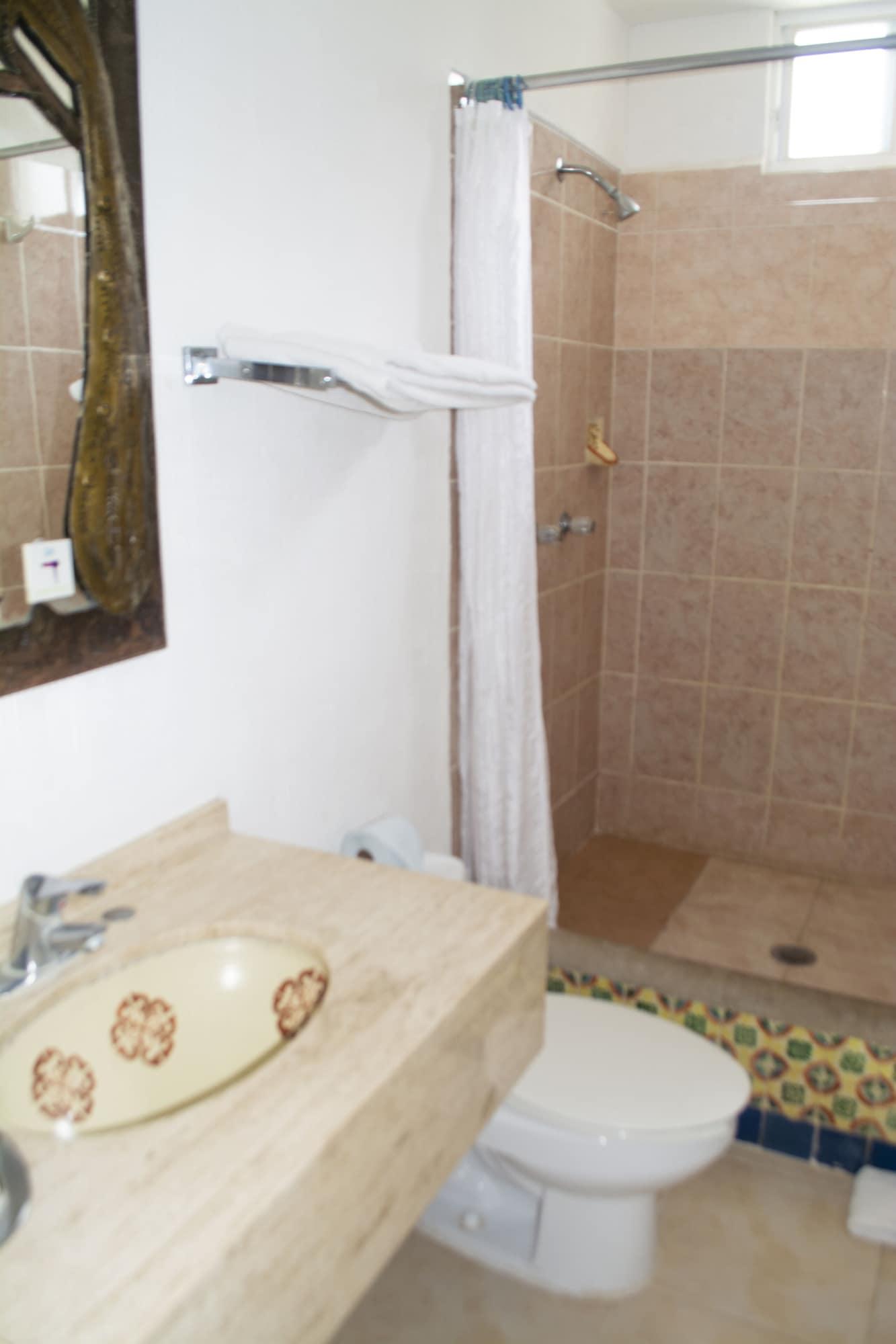 Hotel Olinalá Diamante 3*