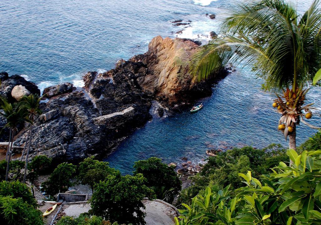 Cocos Camp