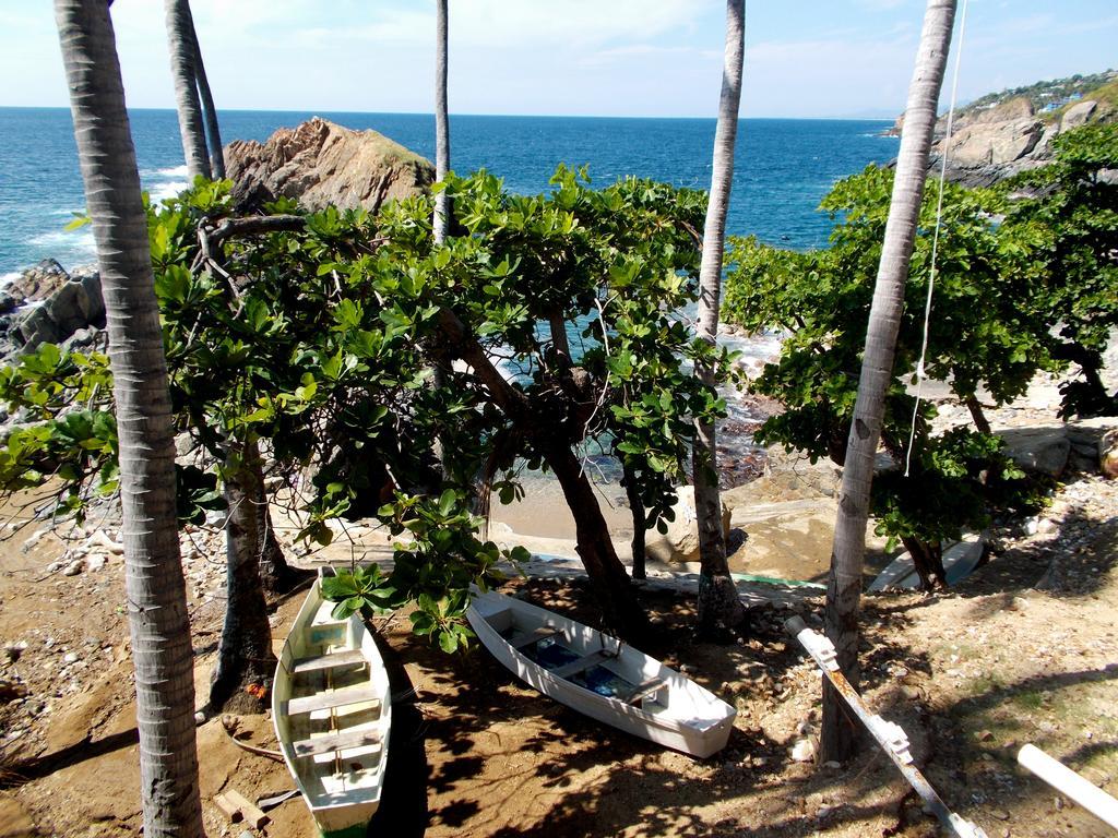Cocos Camp Acapulco