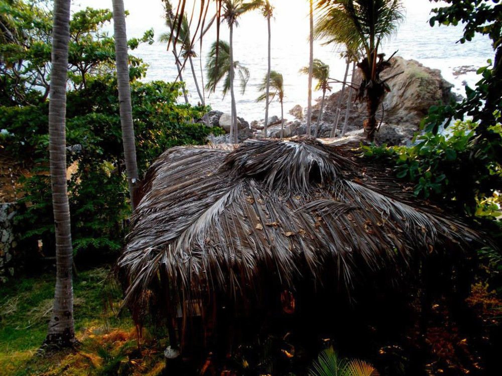 Hotel Cocos Camp 2*