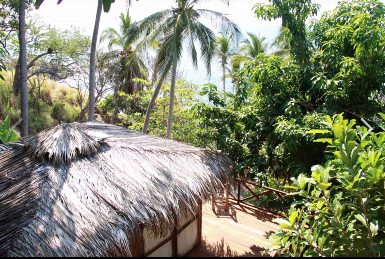 Cocos Camp Acapulco