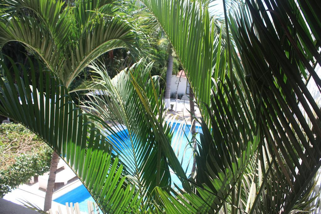 Olinalá Diamante Hotel