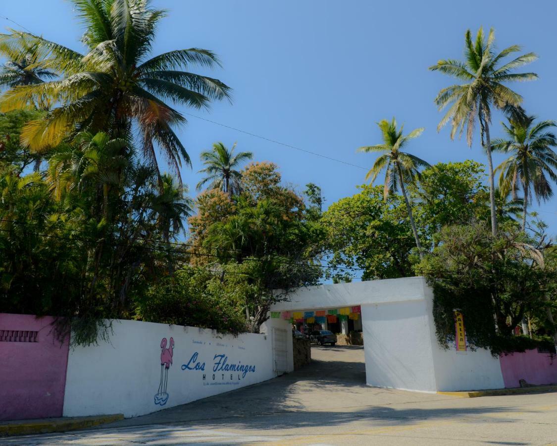 Flamingos Hotel