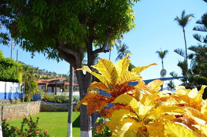 Santa Maria Acapulco