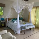Ave Del Paraiso