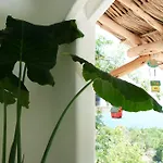 Villa De Reyes Hotel Boutique
