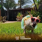 Casa Yalma Kaan Acapulco Hotel - Solo Adultos
