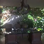 Villa Neptuno
