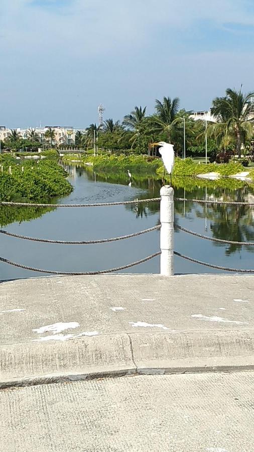 Apartamento Depa Marina Diamante · Depto Pb Internet Alberca Palapa Marina Diamante Acapulco