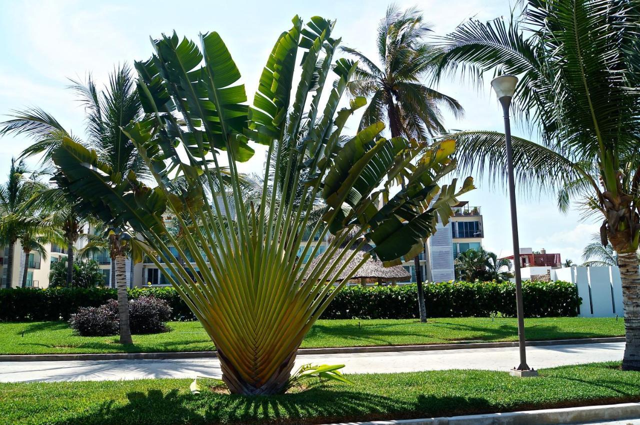Exclusivo Penthouse En Diamante Con Jacuzzi Acapulco