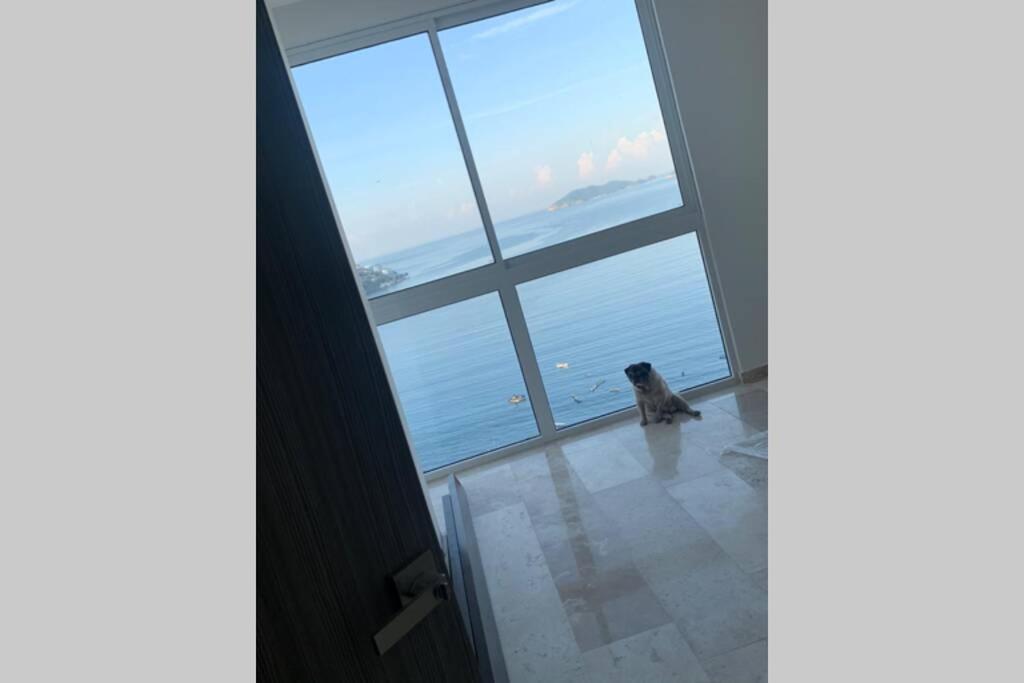 Apartamento Casa Garris