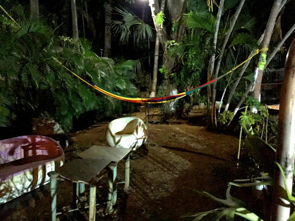 Palmitas Acogedor Departamento Nivel Piscina Gigante Jardines * Acapulco