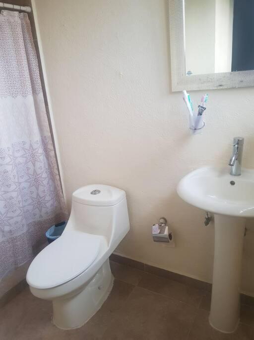 Apartamento Lujoso Departamento En Zona Dorada De Acapulco