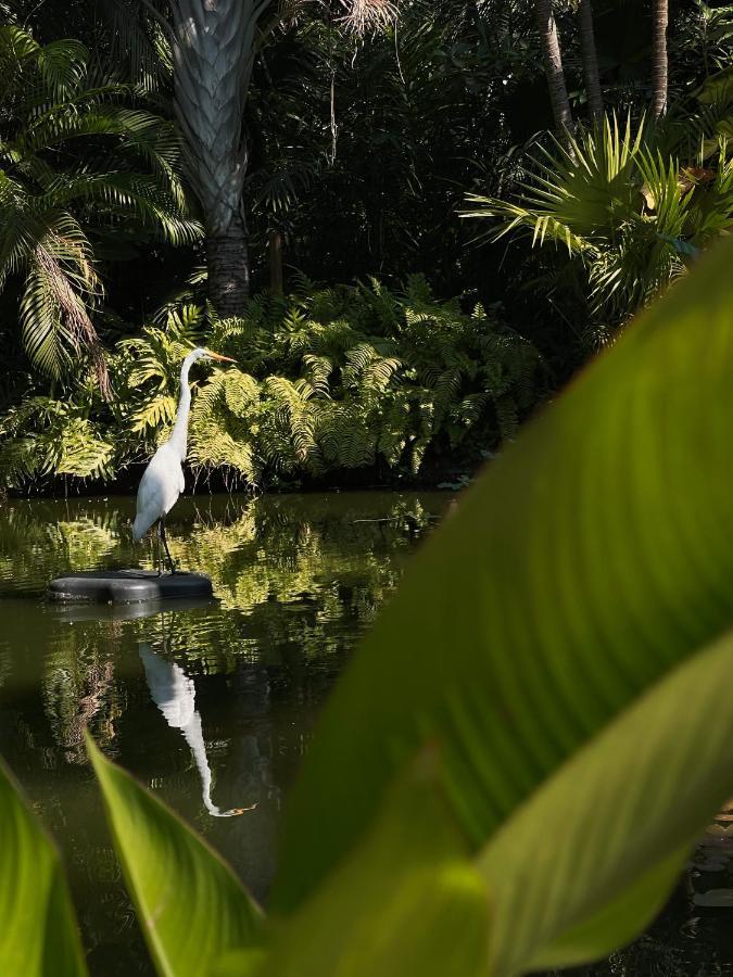 Chalet Jardin Secreto Centro Holistico *