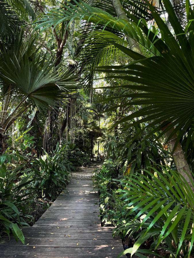 Jardin Secreto Centro Holistico Acapulco