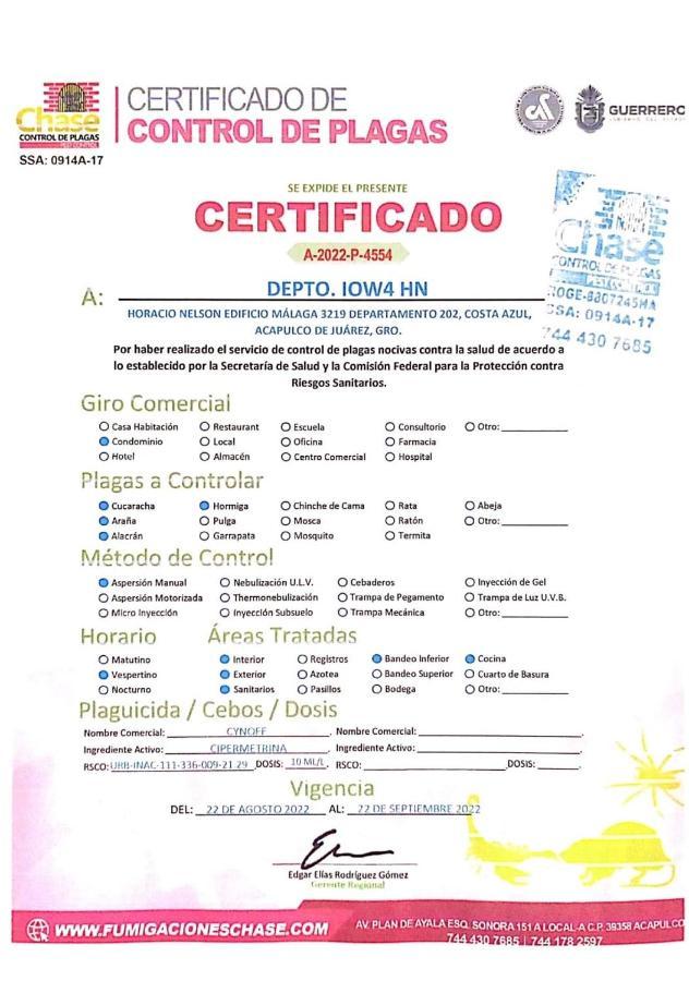 Iow4 Hn Studio * Acapulco