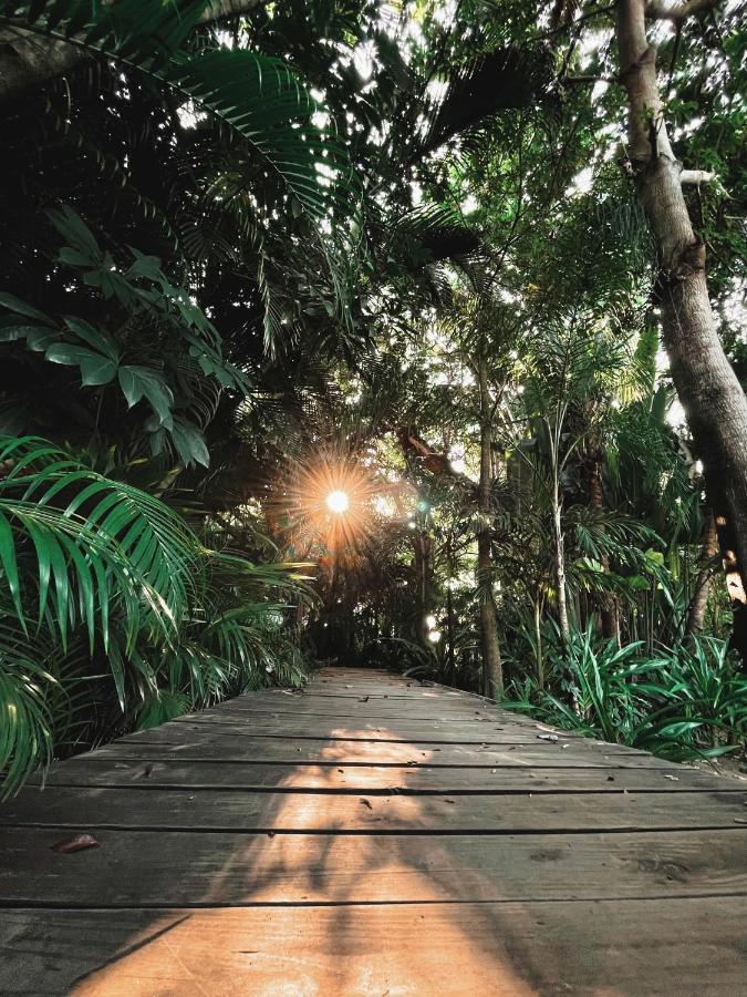 Jardin Secreto Centro Holistico *