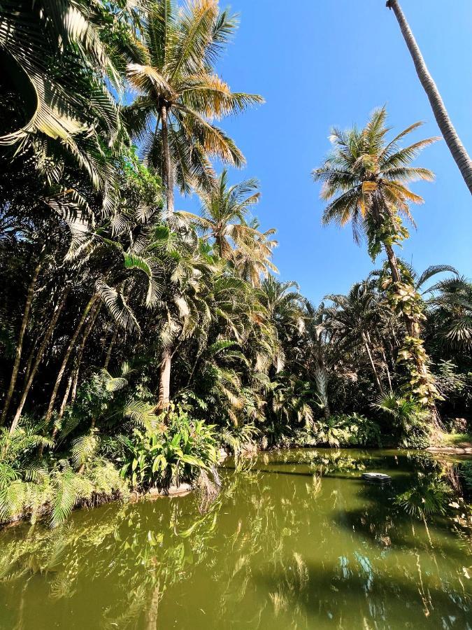 Jardin Secreto Centro Holistico Chalet Acapulco