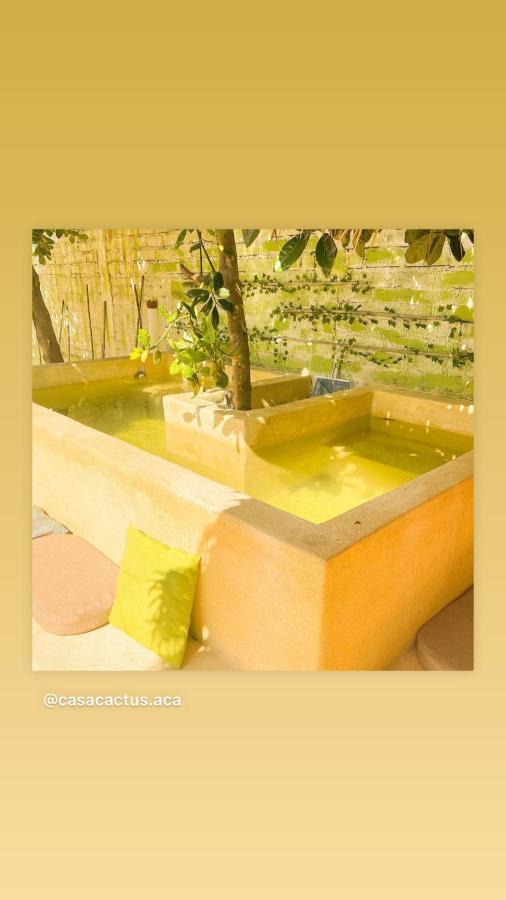 Apartamento Casa Cactus *