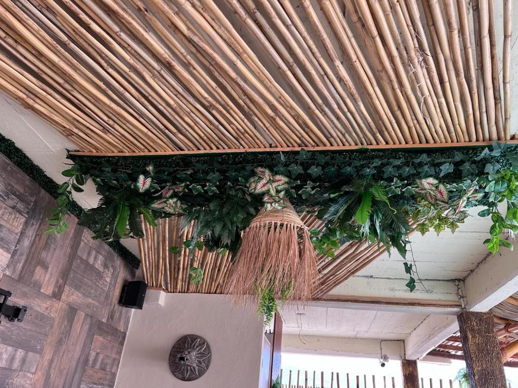 Habitación Privada, Cerca De Playa Acapulco