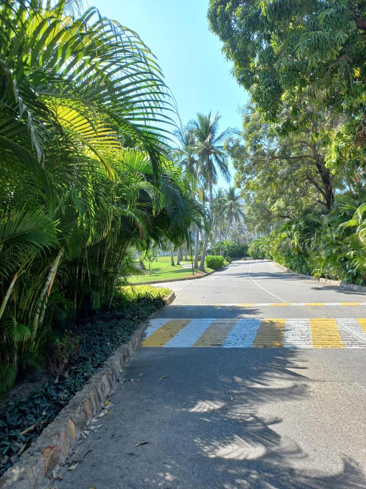 Mayan Vidanta Golf A 800 Mt De La Playa Villa
