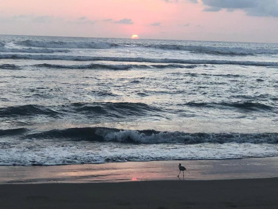Apartamento Increible Depto. En Playa Privada. Acapulco