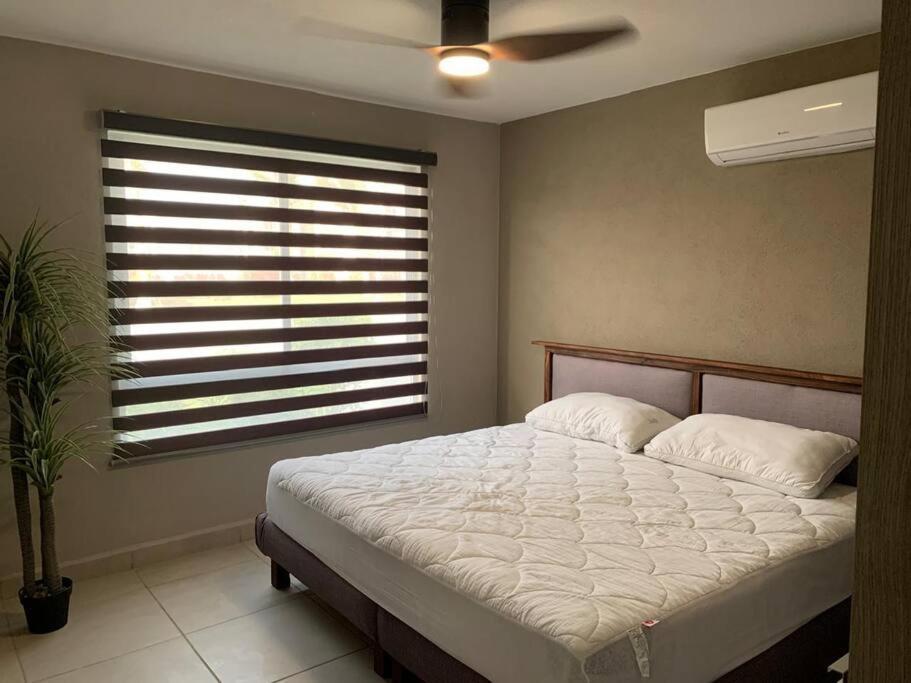 Departamento Dream Diamante Acapulco