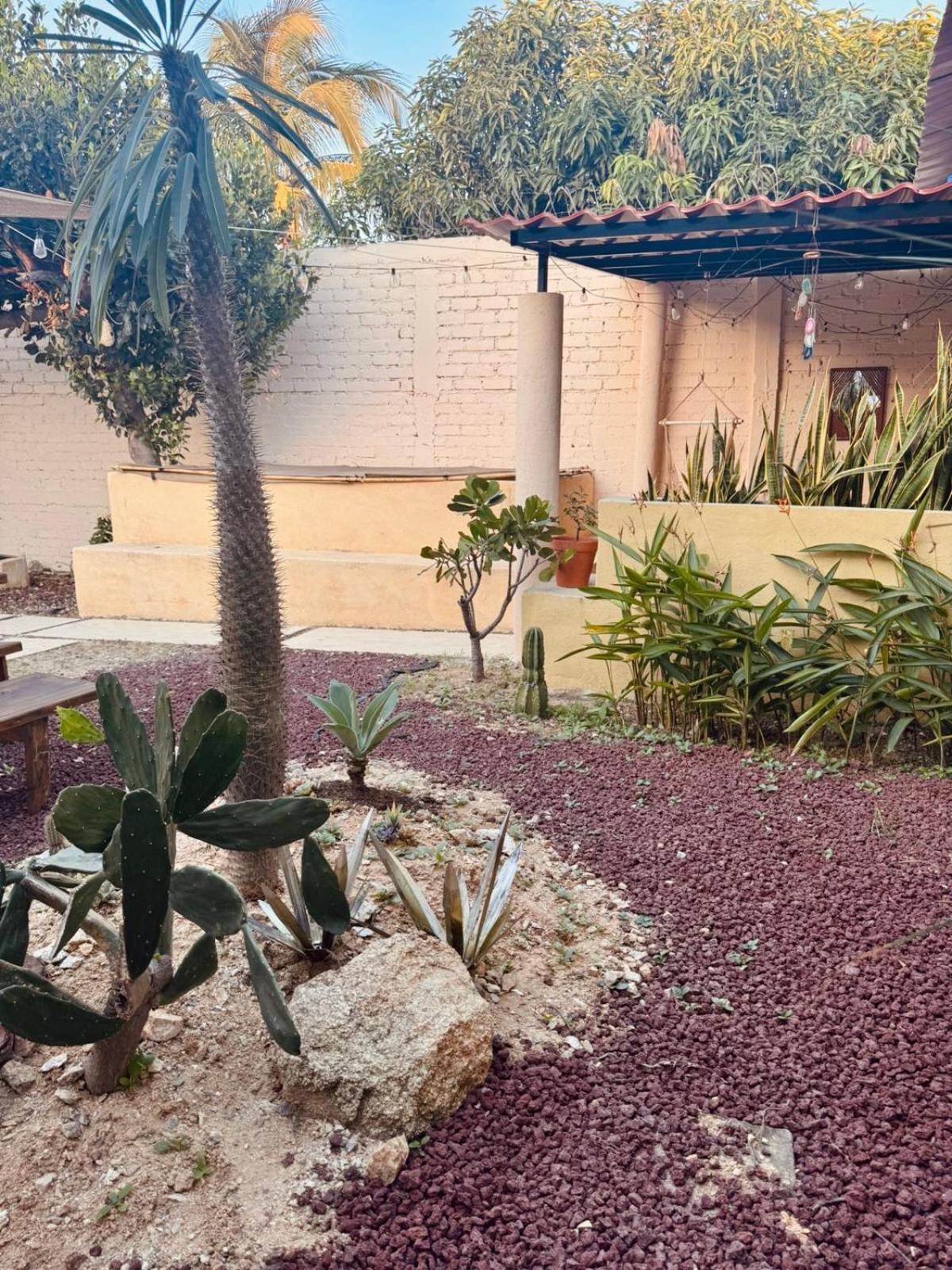 Completa Acapulco
