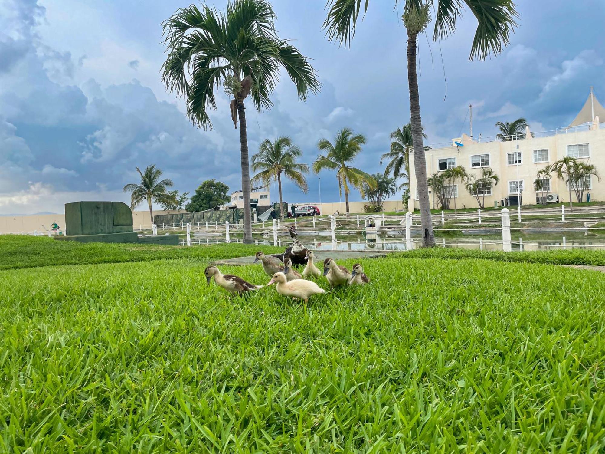 Departamento Diamante Roof Garden-jacuzzi Apartamento Acapulco