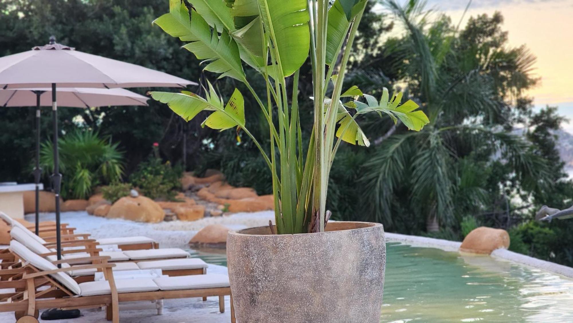 Villa Hermosa Acapulco