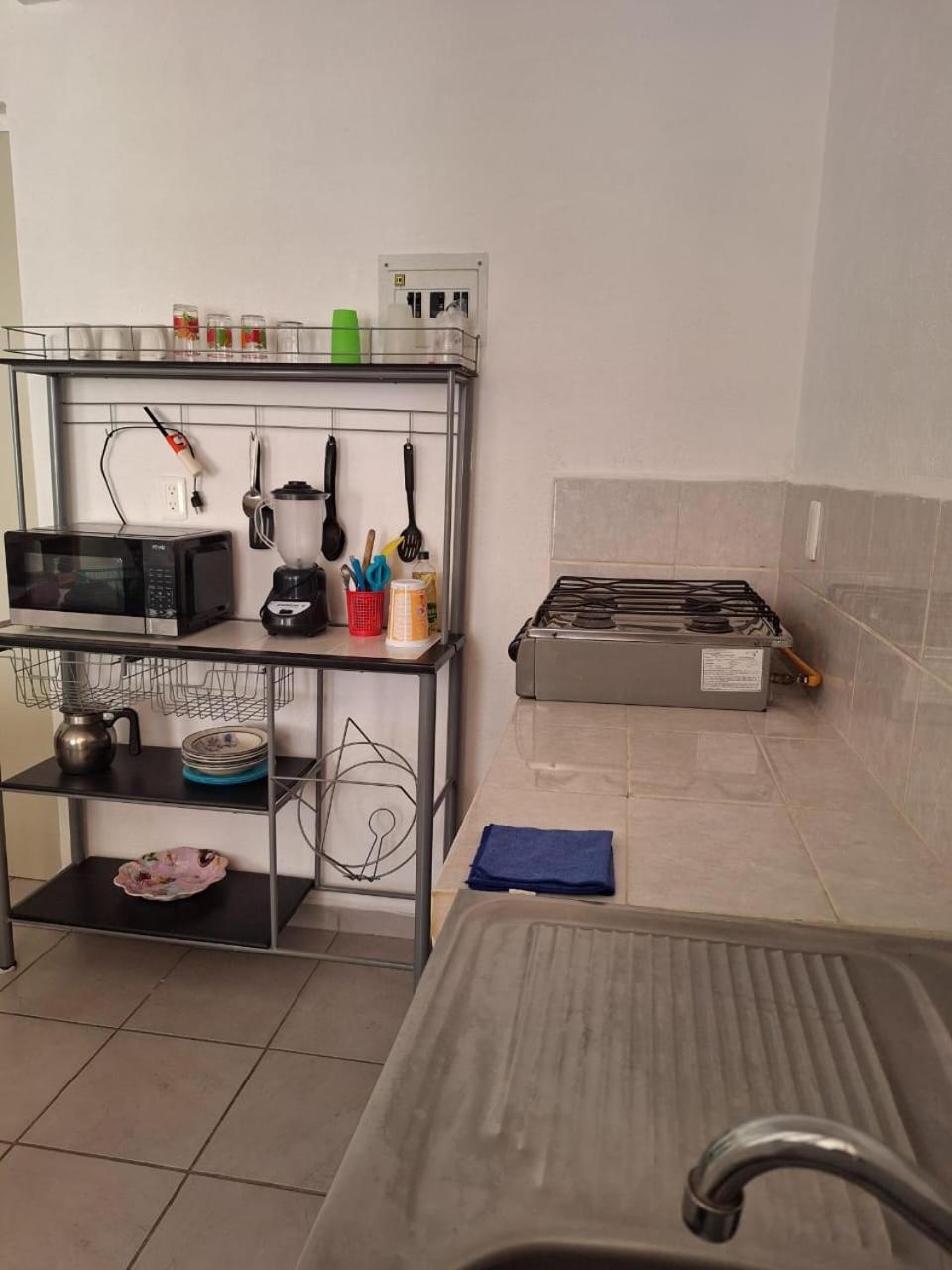 Departamento En Diamante Con Alberca, Camastros Y Hermosos Jardines * Acapulco