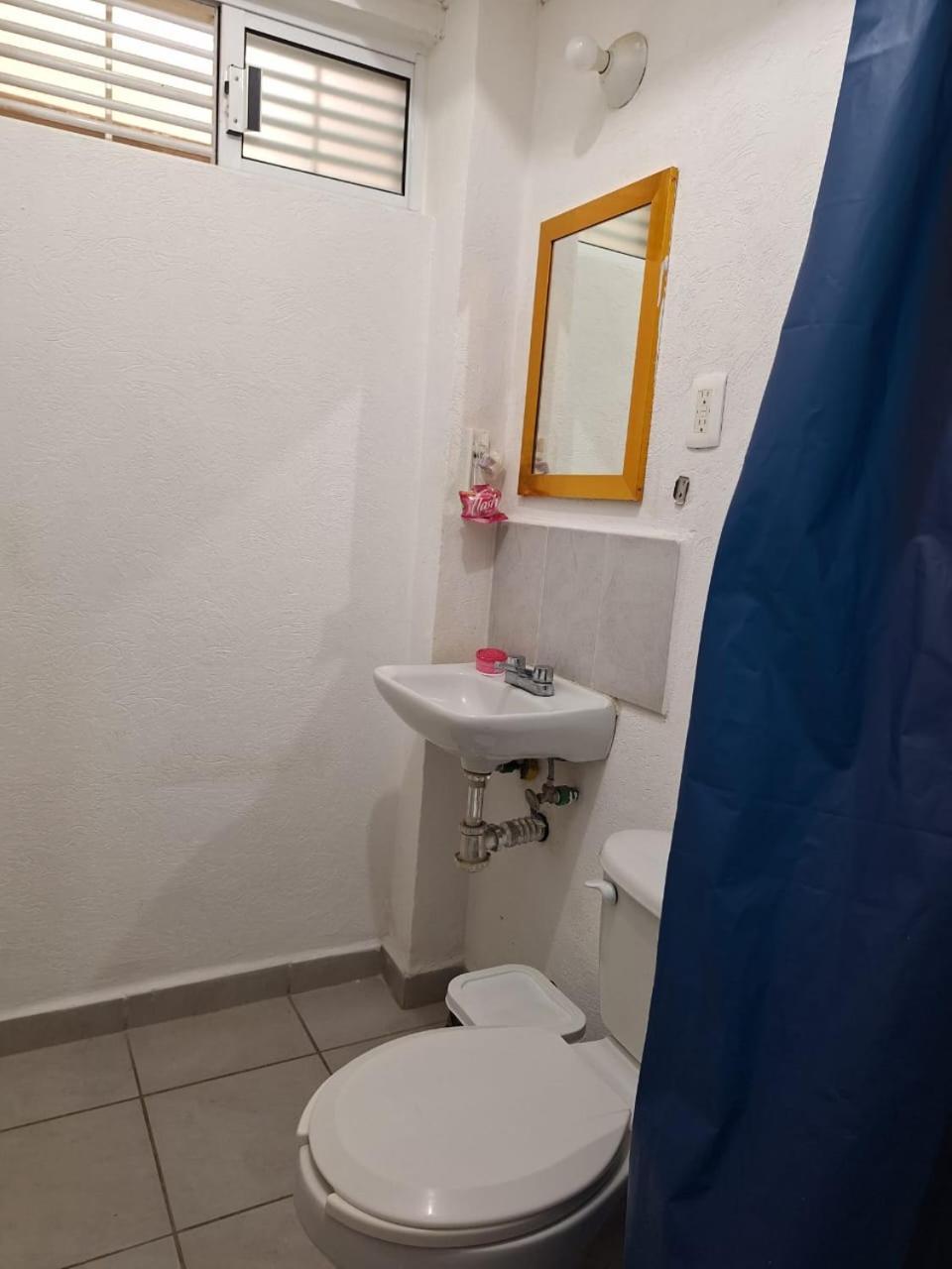 Apartamento Departamento En Diamante Con Alberca, Camastros Y Hermosos Jardines