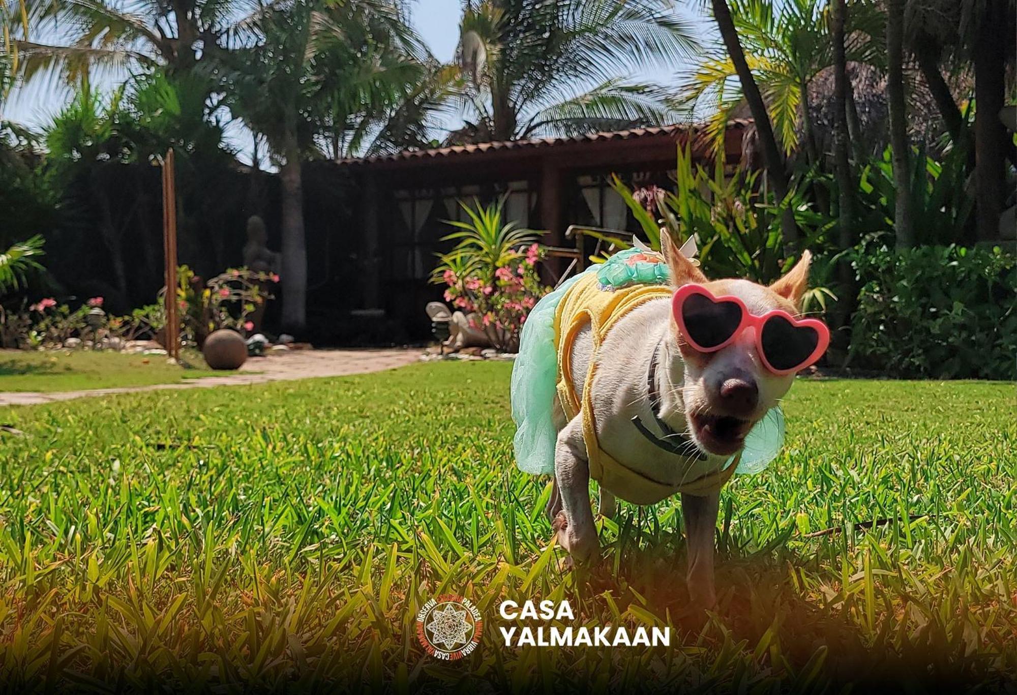 Casa Yalma Kaan Acapulco - Solo Adultos