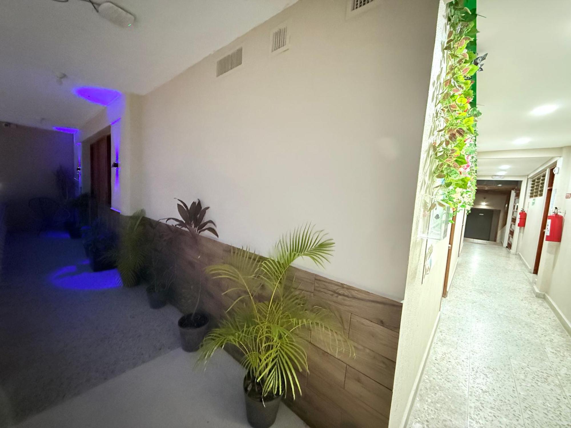 Habitación Privada, Cerca De Playa