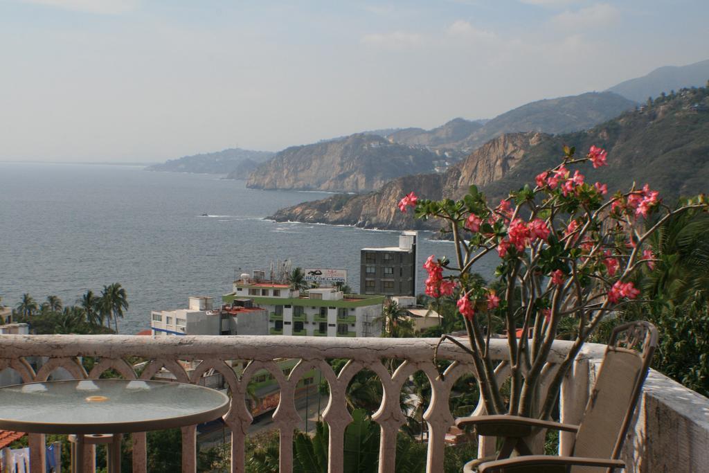 Palmitas Acogedor Departamento Nivel Piscina Gigante Jardines Acapulco