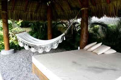Dream *