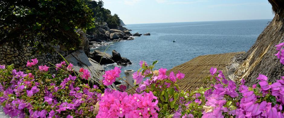 Dream Acapulco