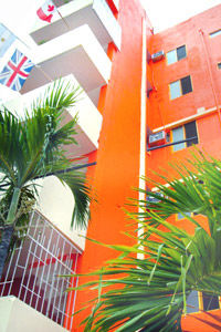 Condesa Americana