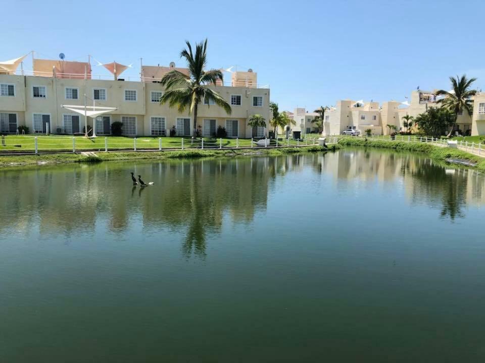 Renta De Departamento En Diamante Apartamento *
