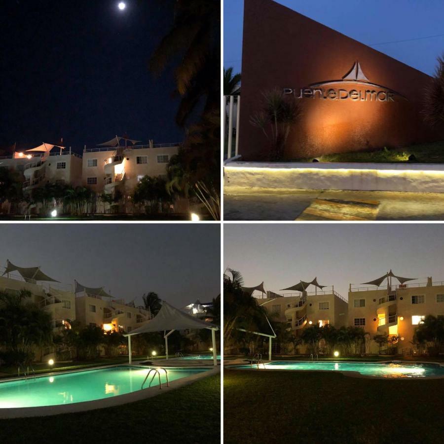 Renta De Departamento En Diamante Apartamento