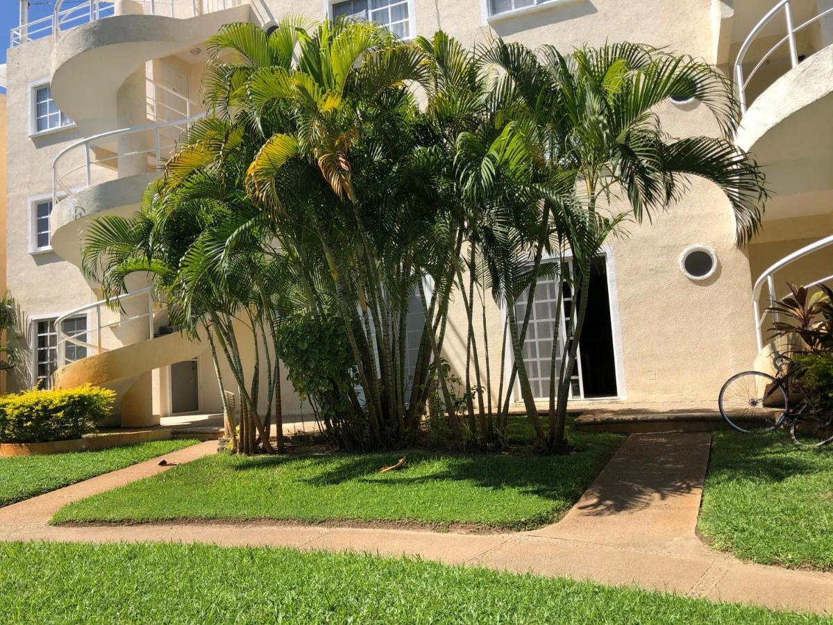 Renta De Departamento En Diamante Apartamento