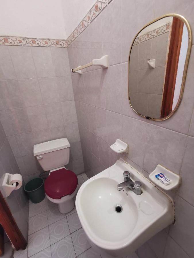 Hotel La Jungla