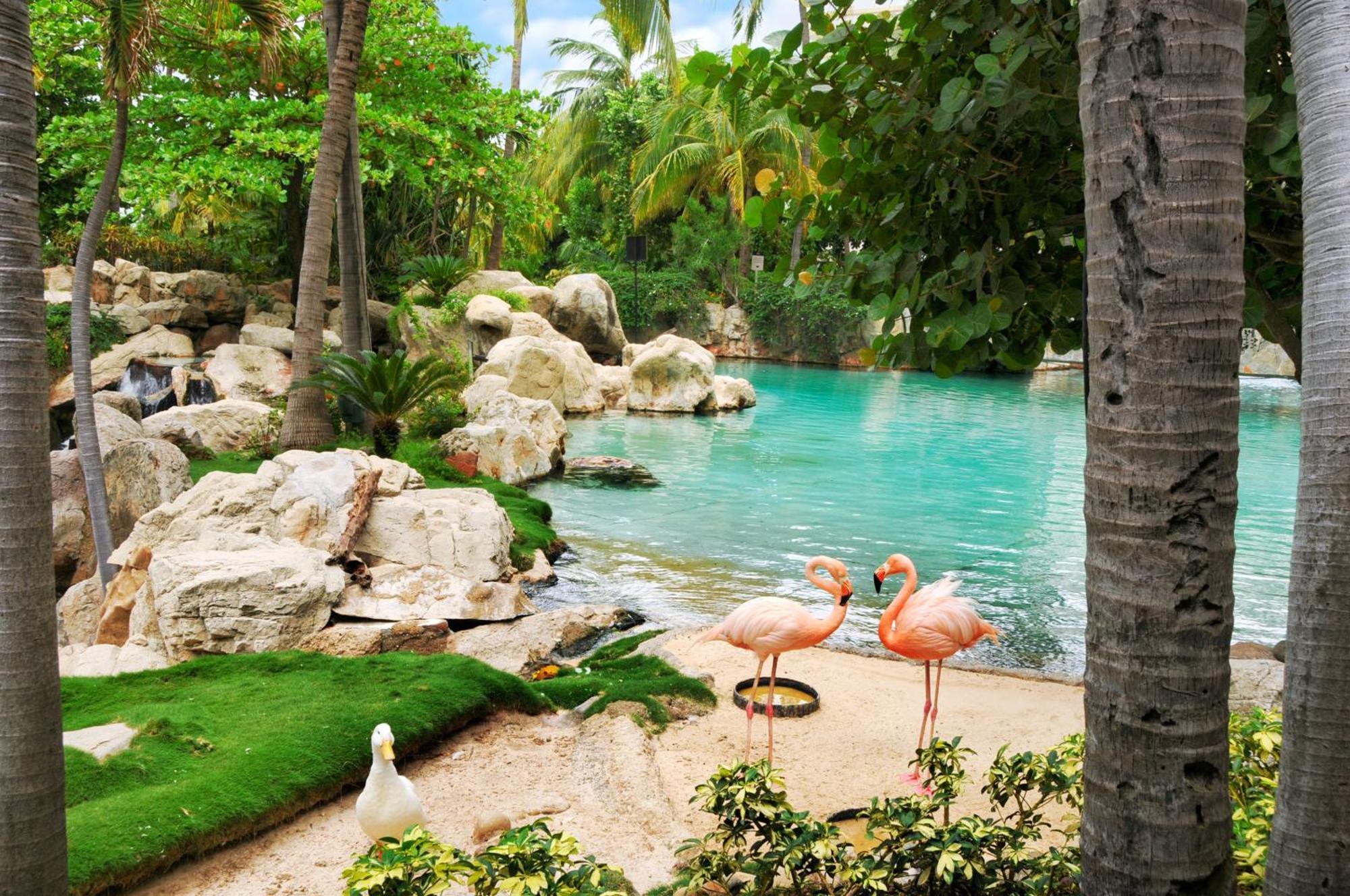 Resort Princess Mundo Imperial Riviera Diamante Acapulco
