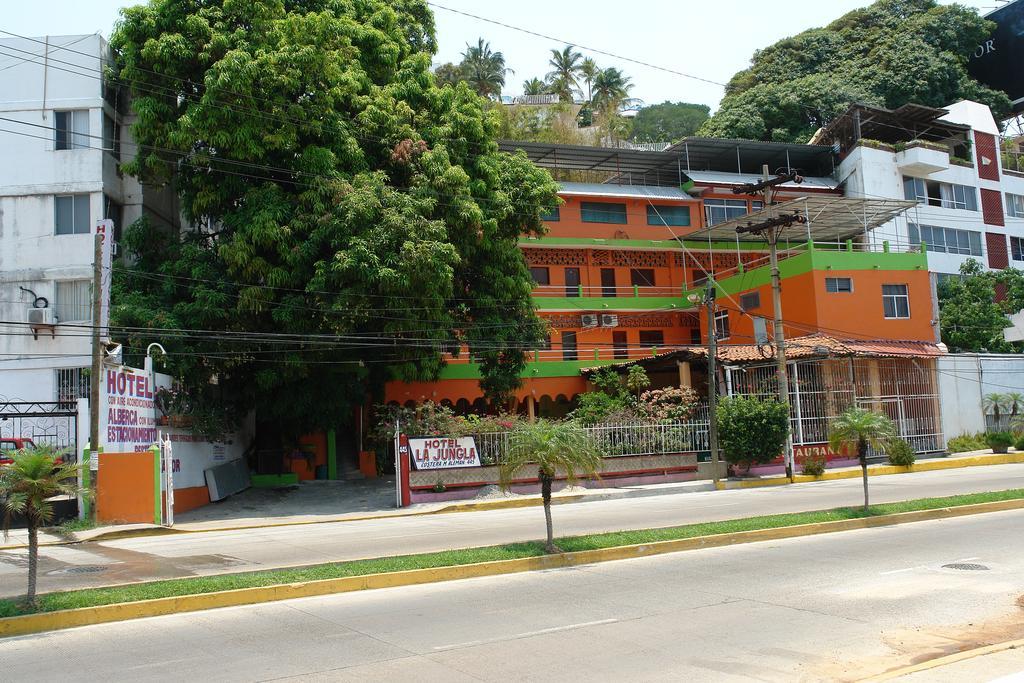 Hotel La Jungla 3*