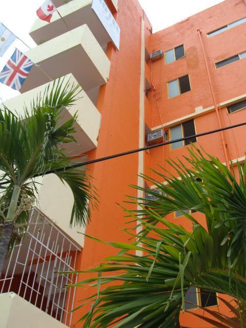 Condesa Americana 2*
