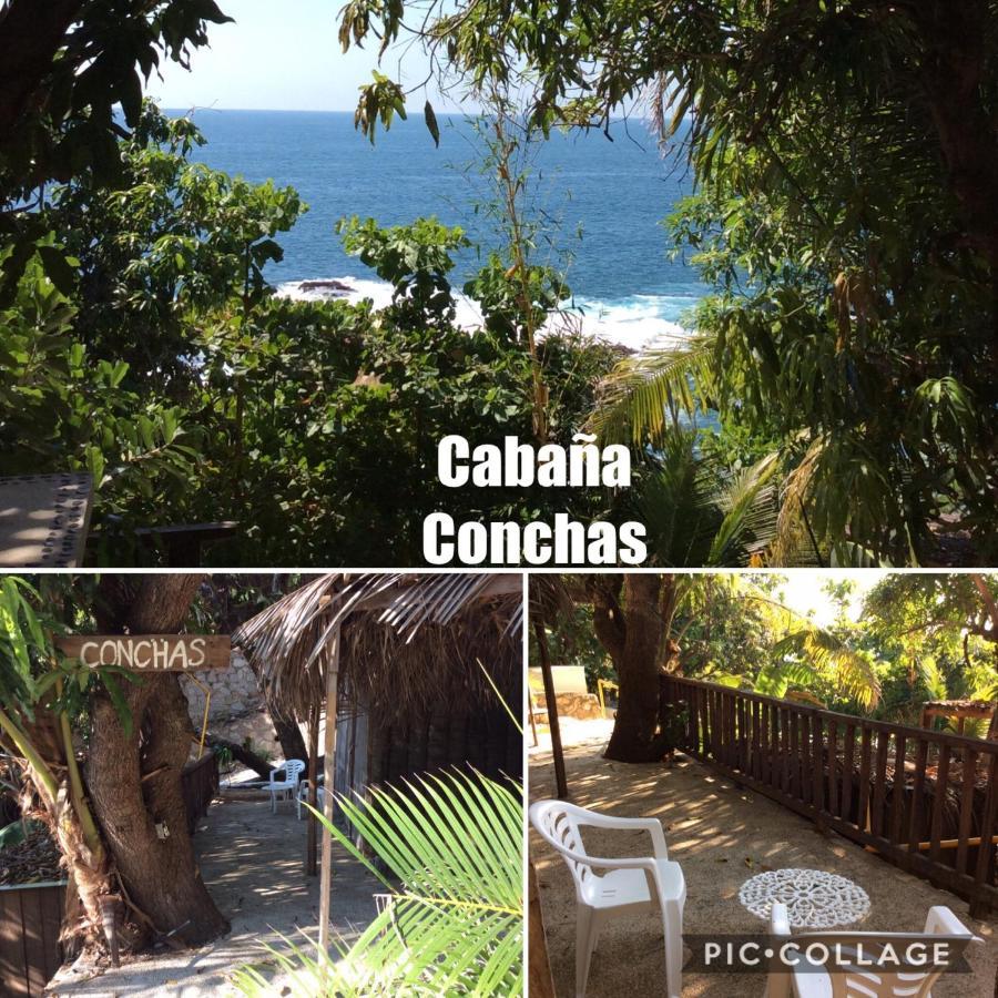Hotel Donde Mira El Sol Retirado Y Espacioso Con Condiciones Ideales Pasar La Contingencia Con La Mayor Seguridad Acapulco